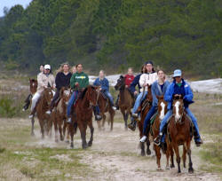 Horseback riders loping in the Florida Scrub